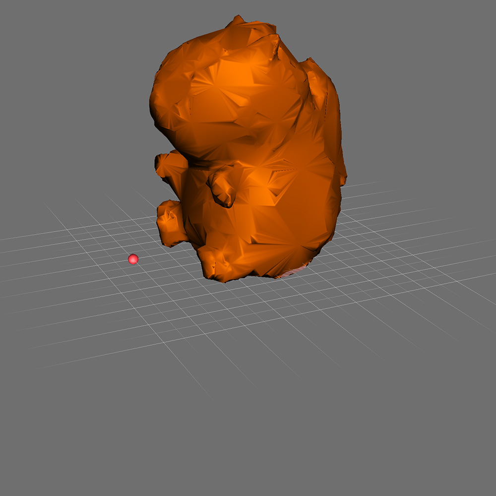 This is a photo preview of what reducing the amount of polygons would look like on the capybara.